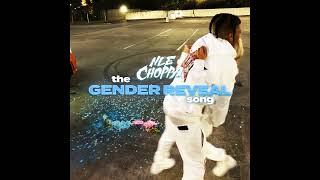 Watch Nle Choppa The Gender Reveal Song video