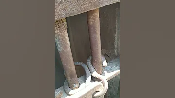 من داخل السجن الحربى 