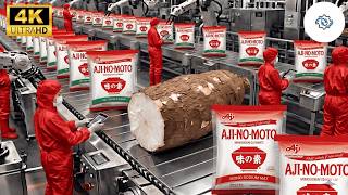 Inside Ajinomoto's Mega Factory: Making MSG From Cassava (Full Process)