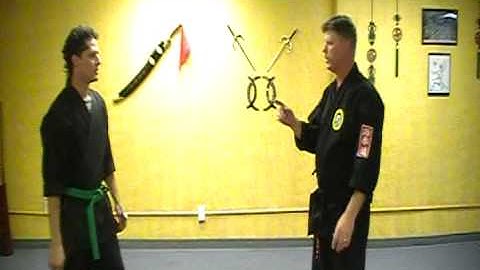 Shaolin Kempo Karate - Leopard style part 1