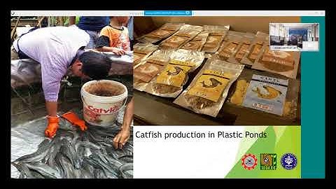 SEA CC: Introduction to UA & Solid Organic Waste Composting