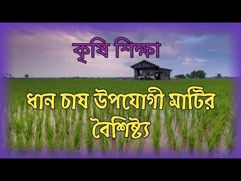 ভিডিও: ব্রিস্টল চেইন অফ স্টোর: কর্মচারী পর্যালোচনা, কাজের সময়, ভাণ্ডার