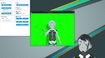 VmagicMirror on linux - Linux Vtubing without a Webcam