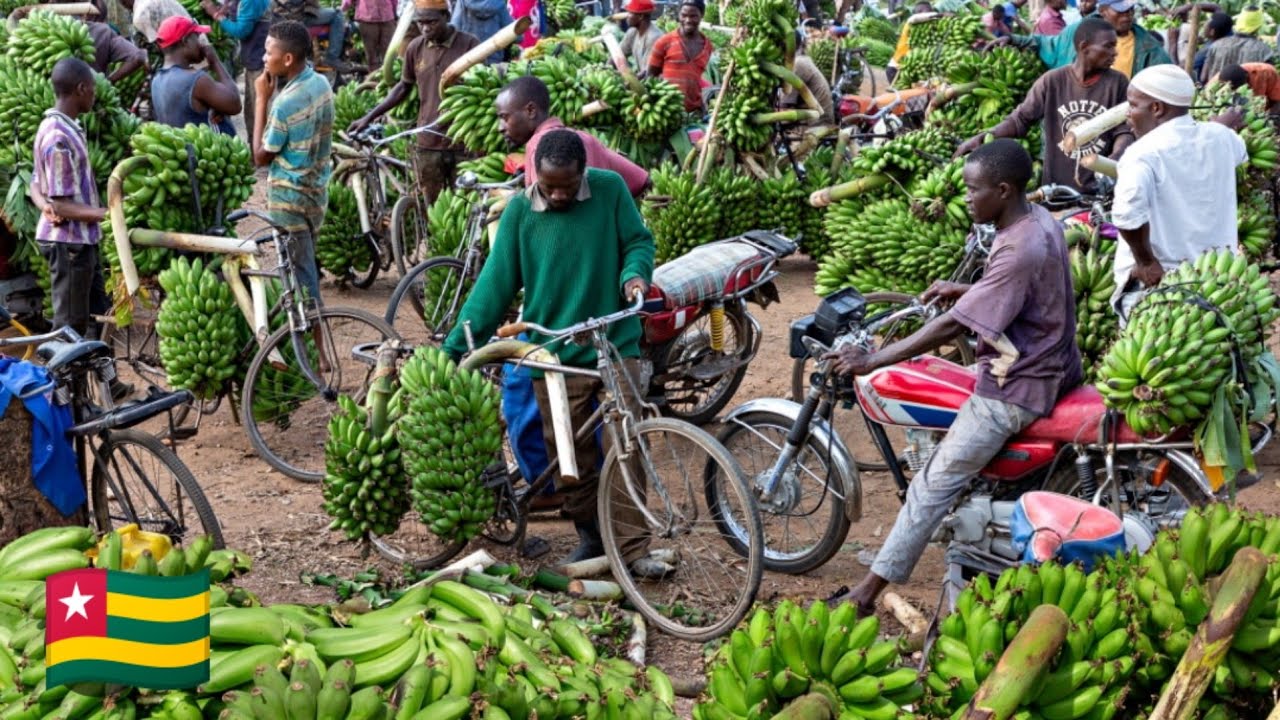 Mass food market day in Togo. Cost of living in west Africa 2024. $40 weekly food shopping in Togo