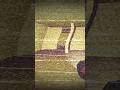 Пингвин Алёша попал в Backrooms в Чикен Ган! #shorts #chickengun #mrbeast #youtube