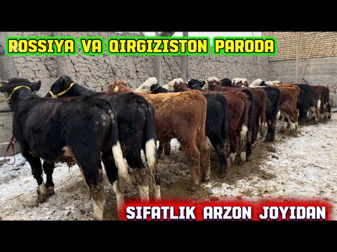 Habibi Hamood for 10 hours but its HD and 60fps