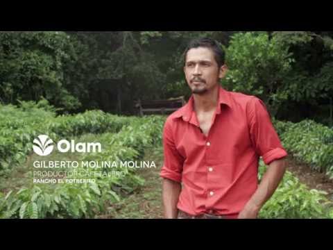 Olam Coffee - Tackling Cafe Roya in Mexico (Spanish)