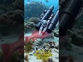 #Fishing#Underwater drone catching fish boxes