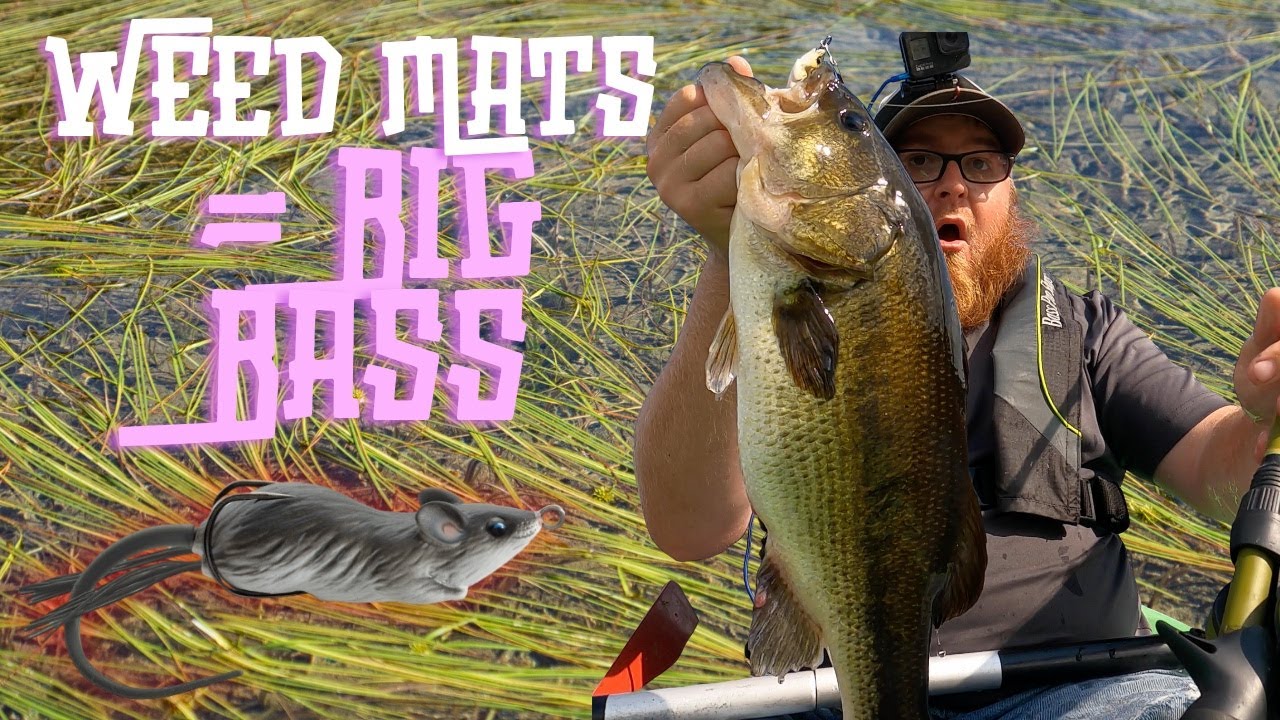 Bass Fishing Weed Mats For Big Bass