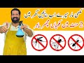 Ghar Se Makhiyan Bhagany Ka Asan Tarika | Get Rid Of Flies In Rainy Season | Hacks | BaBa Food RRC