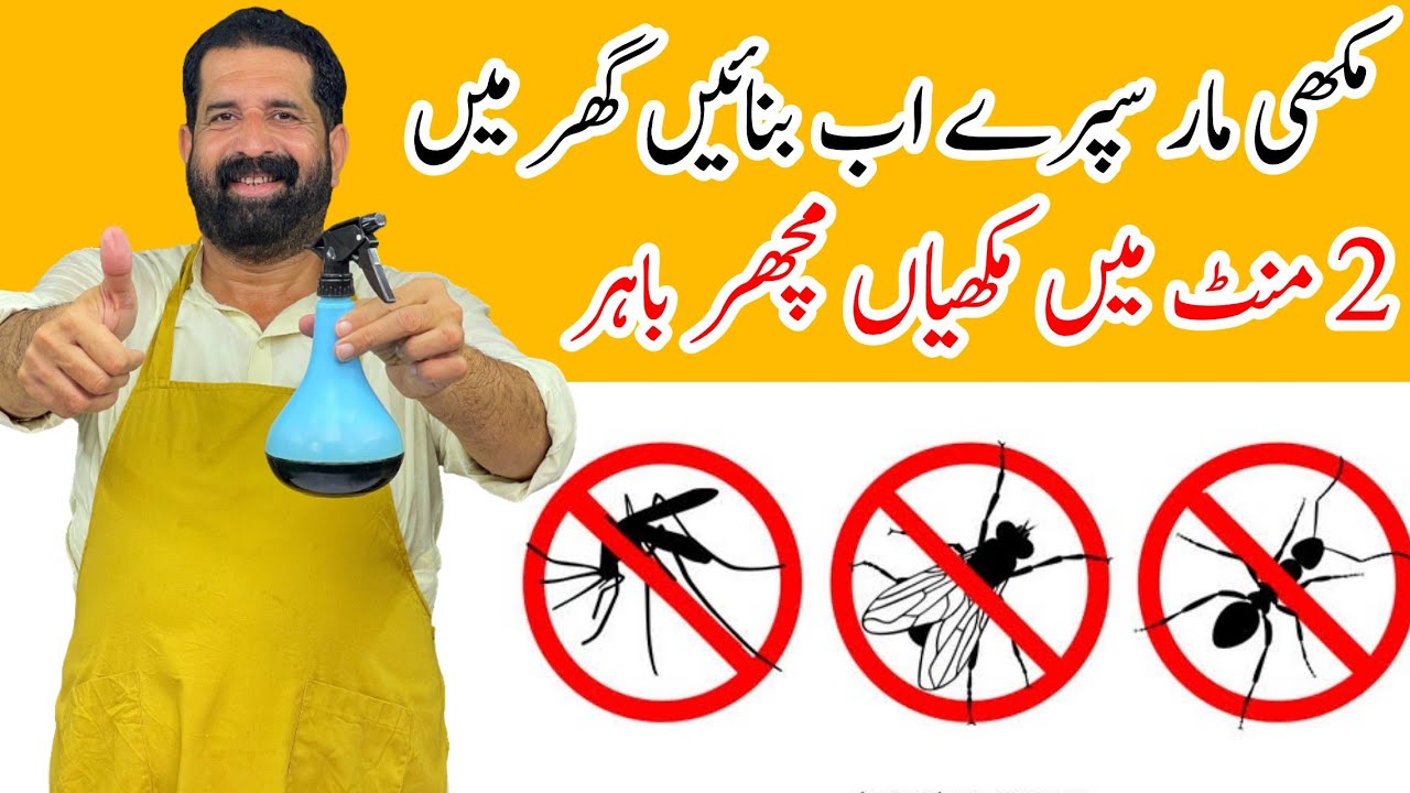 Ghar Se Makhiyan Bhagany Ka Asan Tarika Get Rid Of Flies In Rainy 