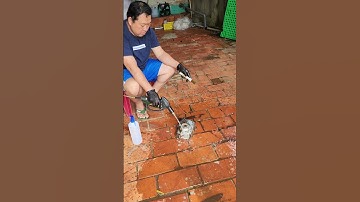 Dung dịch rửa nhớt đa năng, rửa lốc máy, rửa nhớt cháy đen #dungdichruaxe #ruaxemay