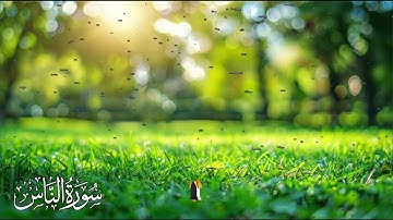 سورة الناس القارئ علاء عقل