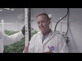 Medical Marijuana for Beginners (Part 2): Finding Your "Just Right" Dose | Discover Marijuana