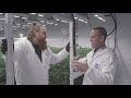 Medical Marijuana for Beginners (Part 2): Finding Your "Just Right" Dose | Discover Marijuana