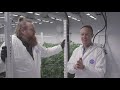 Medical Marijuana for Beginners (Part 2): Finding Your "Just Right" Dose | Discover Marijuana