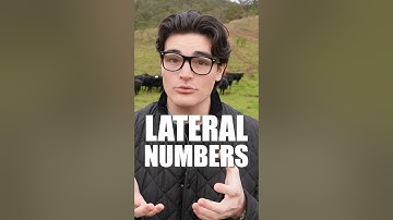 Why are imaginary numbers… imaginary?