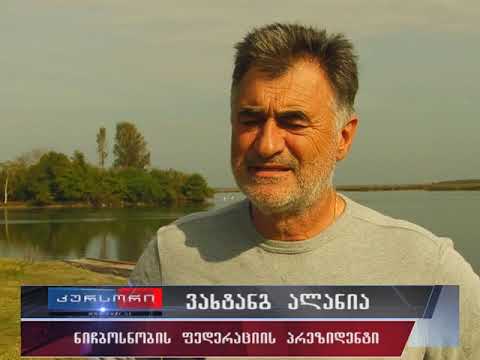 ფოთში საქართველოს ჩემპიონატის დასკვნითი ეტაპი ნიჩბოსნობაში გაიმართა 22 10 18