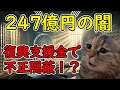 【猫ミーム】震災支援金を不正流用！？いわき信用組合の裏の顔