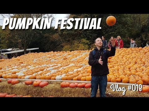 Vidéo: Le plus grand festival de citrouilles au monde a lieu en Allemagne