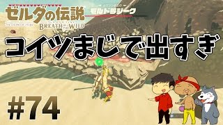 【任天堂スイッチ】ゼルダの伝説#74　モルドラジークがマジで湧き過ぎなんだけど【生声実況】