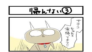 【夜の4コマ部屋】帰んない3 / サチコと神ねこ様 第772回 / wako先生 | Pouch［ポーチ］