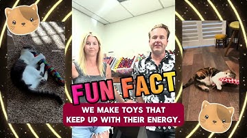 Behind the Kitty Kick Stix chaos - Meet team behind the USA cat nip kicker craze!