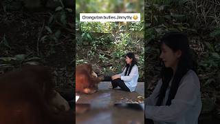Jinnytty has an interesting experience with this orangutan 😂 #funny #jinnytty #shorts #twitch