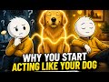Your Dog's Presence Is Rewiring Your Identity