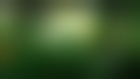 DEAD TRIGGER mod /unlimited ammo