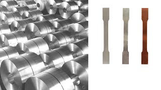 Psm2000 A2 Autom. Probenschleifmaschine Zugproben Aus Blech