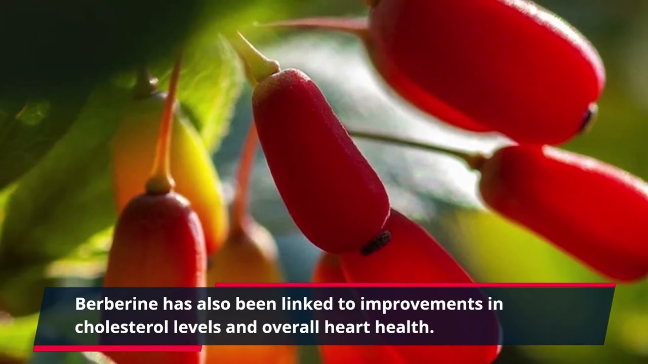 "Unlock Your Best Body: Discover the Power of LeanBiome - Buy Today!"