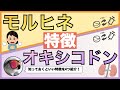 モルヒネとオキシコドンの知っておきたい特徴【4選】