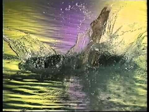 【なつかCM】コナカ松平健編