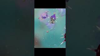 Spore moment