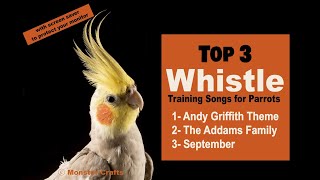 #bird Whistle Training 101 with Screen Saver #top3songs #birb