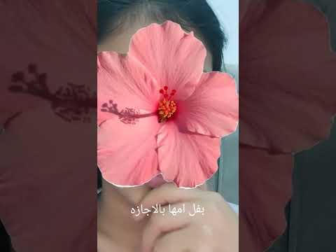 مره انبسط ومره لا