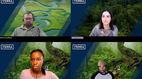 Digital project review reports (PRRs)