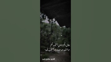 #مشاري_ياسين #تلاوة