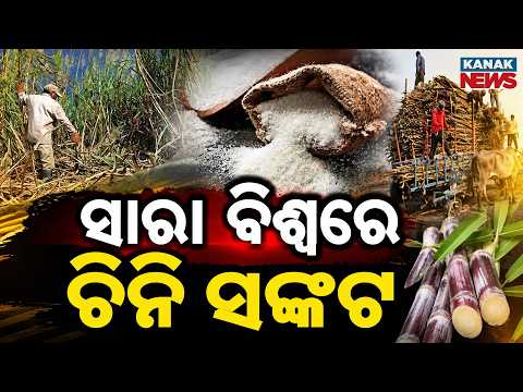 ଚିନି ସଙ୍କଟ ! | Special Report On Sugar Crisis | India Prices Hit Rs 70/Kg Amid Falling Production