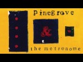 Pinegrove - The Metronome