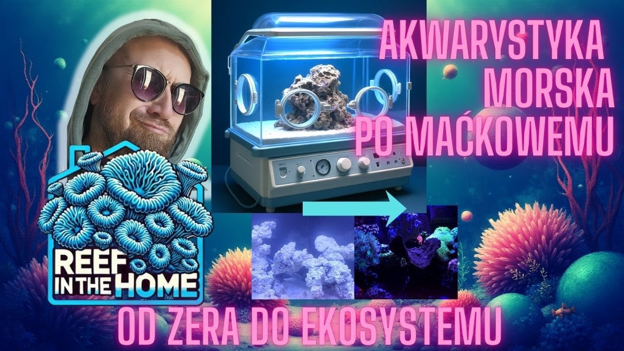 Akwarystyka Morska - Dojrzewanie mojej skały -  od surowej skały do rafy