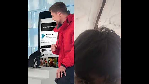 can l #penguin #helpmemakethismakesense #automobile #challenge #funny #tech #duet #mrbeast