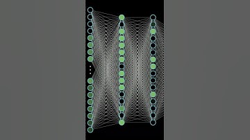 Unveiling the Mind of AI Revolutionizing Image Recognition