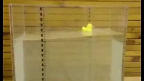 Standing waves. Sloshing