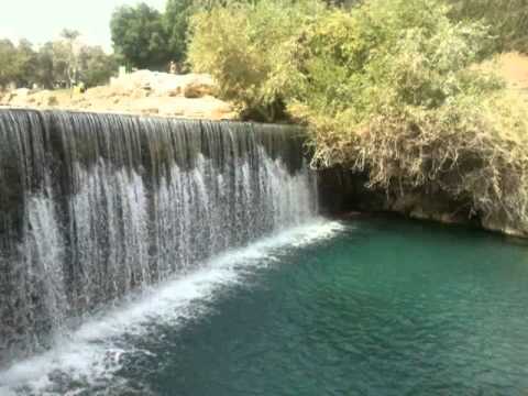 اغاني اعراس رائد كبها حناء العروس