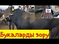 13.02.2021. Караван мал базары . Соонун базар  маза кыласыз Обязательно корунуз