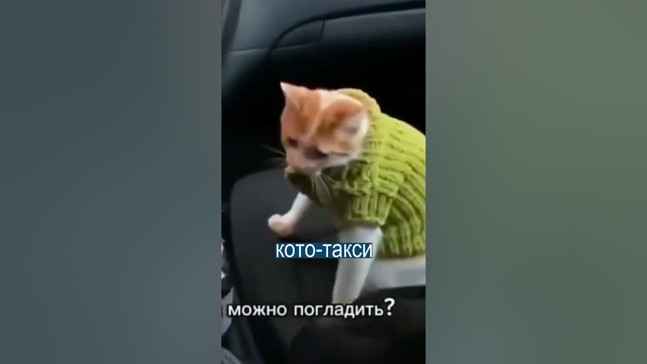 такси комфорт что такое