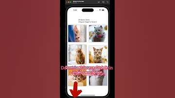 Drag image collection cell in SwiftUI [Free Source Code]