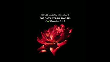 تلاوة خاشعة جدًا قرآن كريم حالات واتس اب دينية وَإِنَّ اللَّـهَ بِكُمْ لَرَءُوفٌ رَّحِيمٌ.